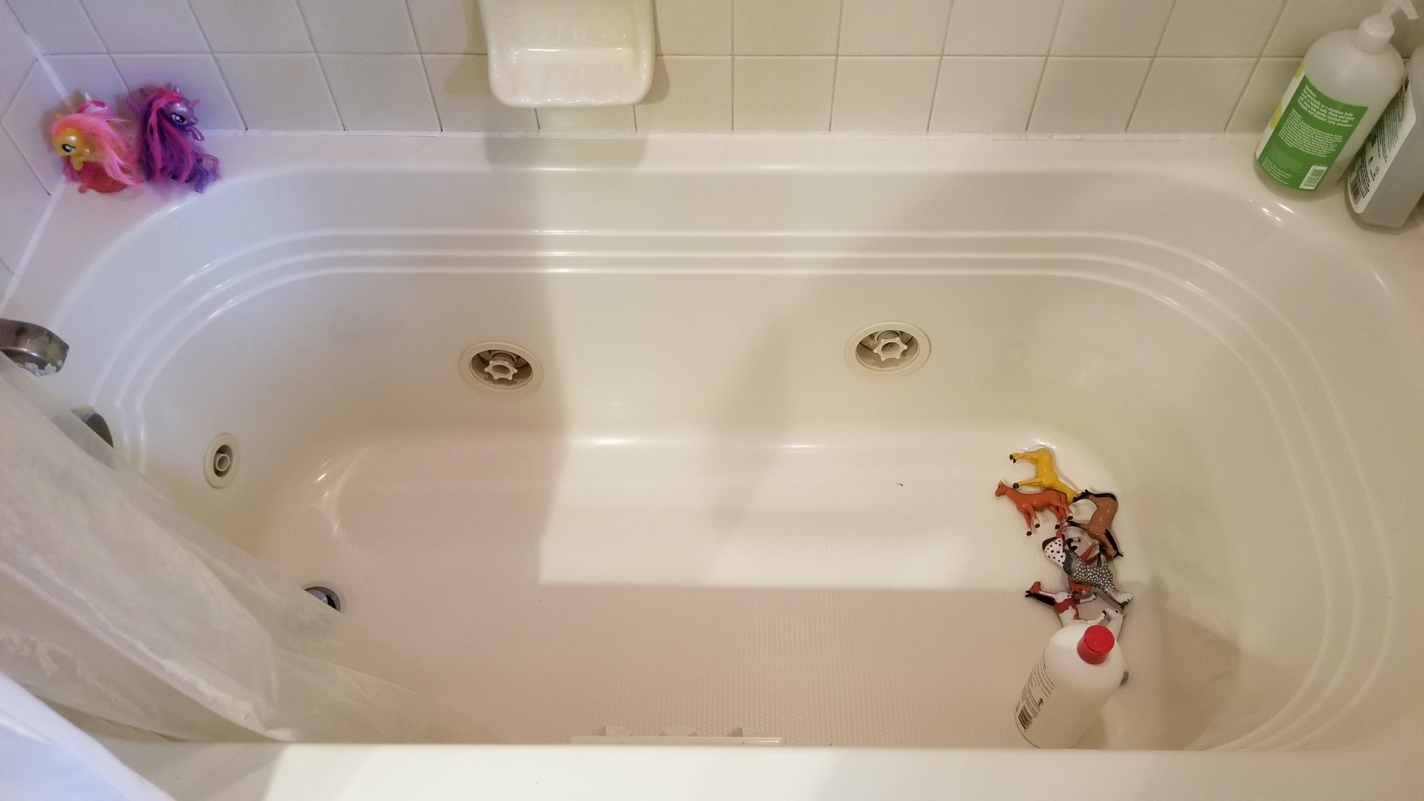 Showering with the horses . . .