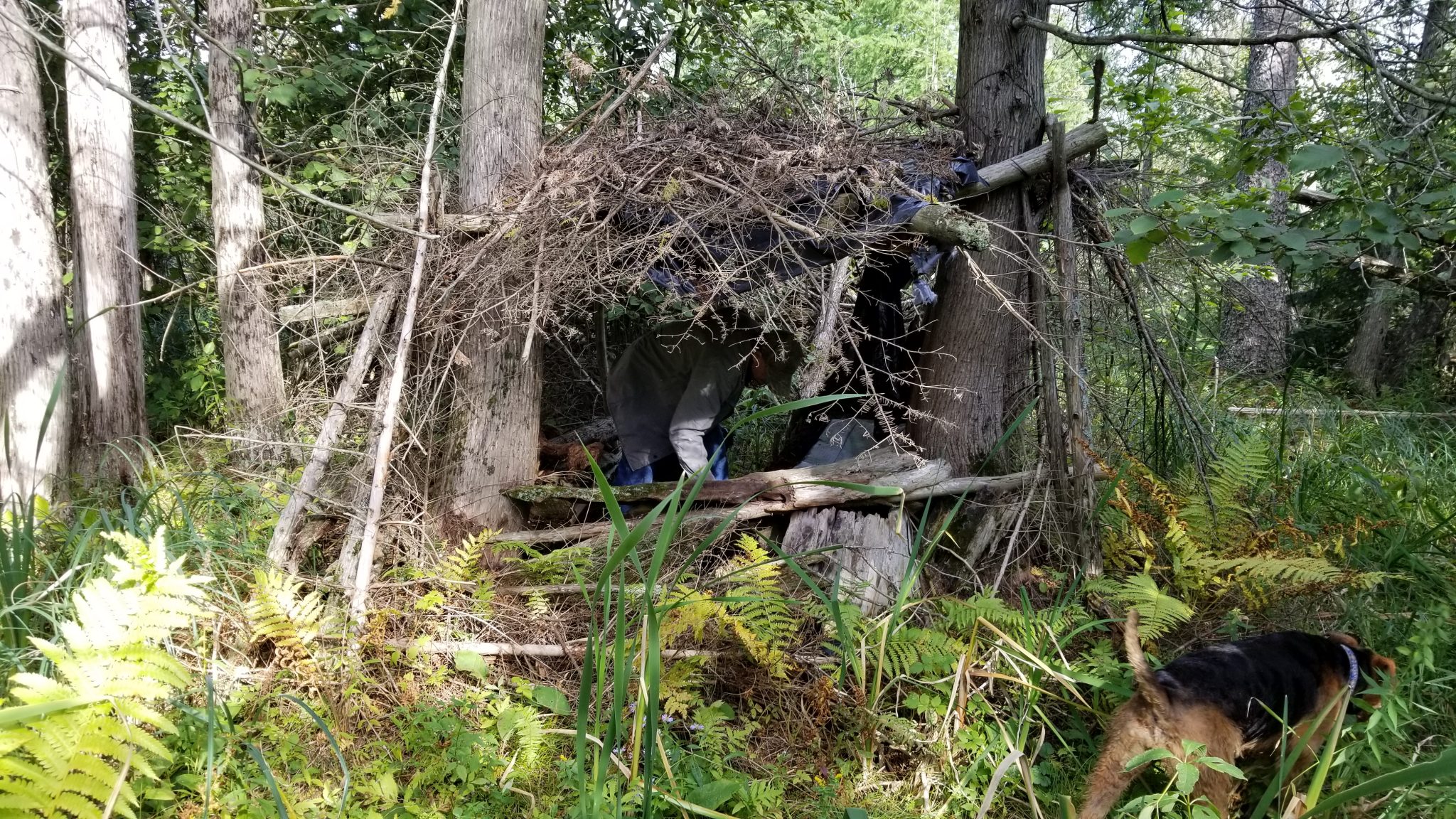 Dan's Four Seasons Resort deer blind