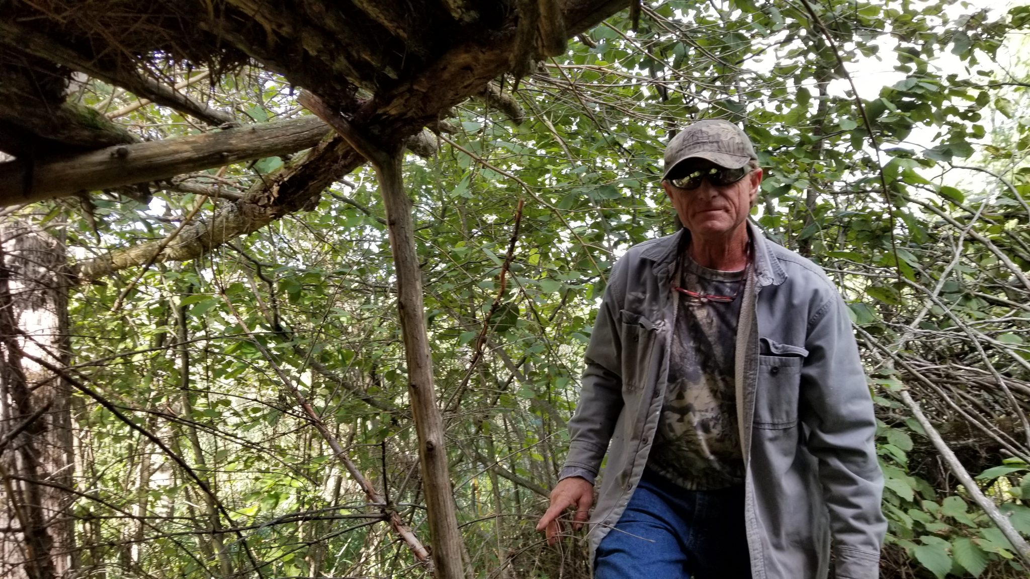 Looking out of the deer blind.