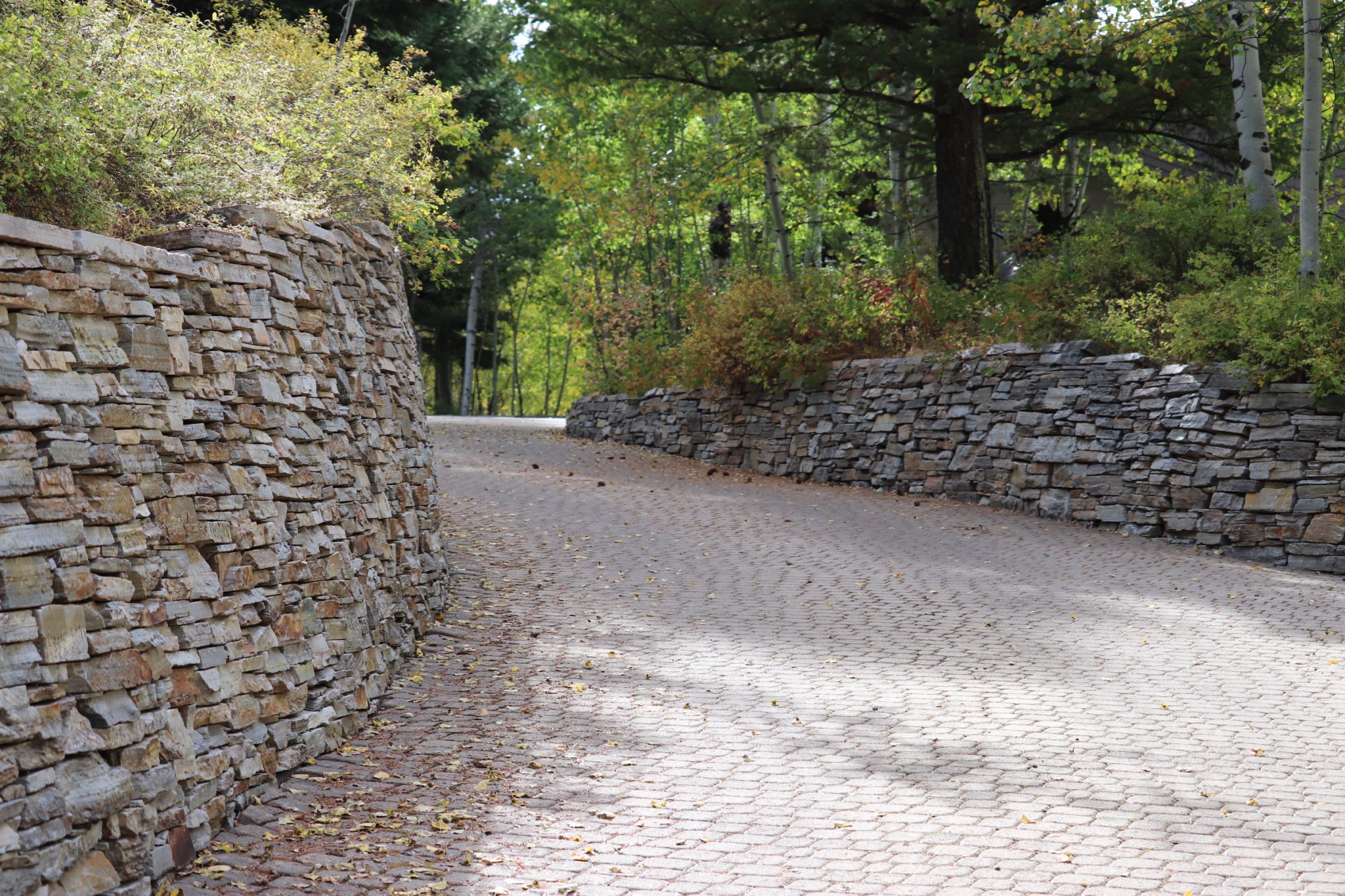 Uncle Dick's driveway