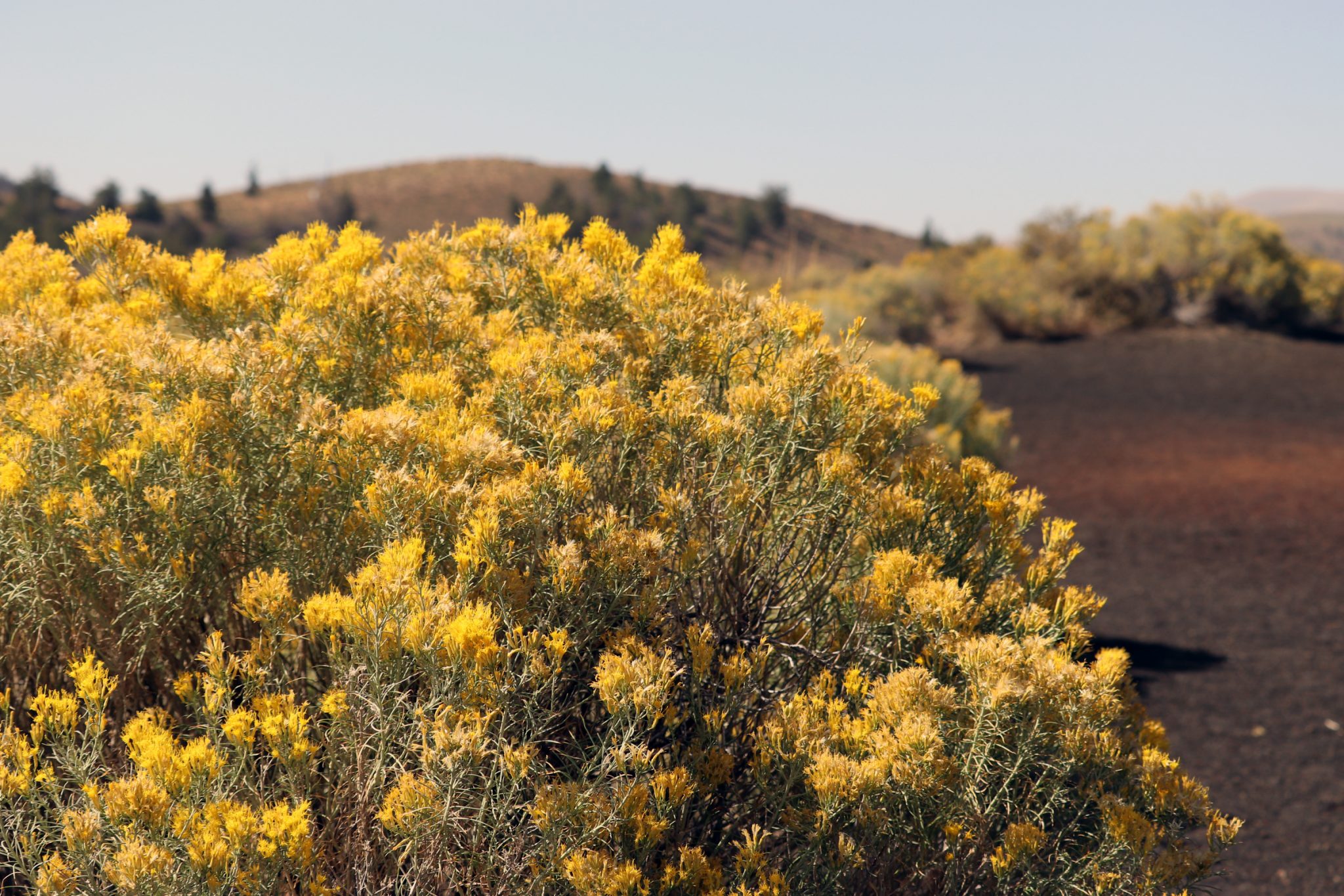 Craters of the Moon, ID.