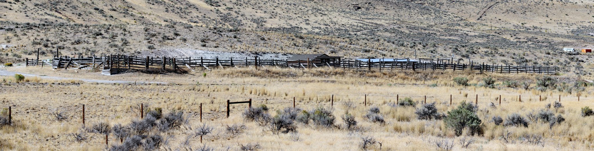 Working ranch in Nevada.