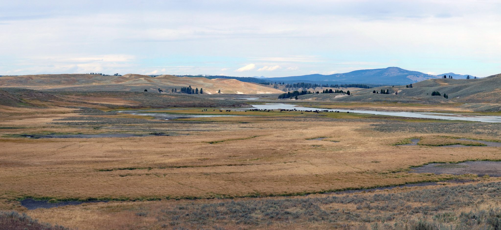 yellowstone panorama2