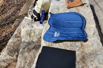 Perched by the Savanah River