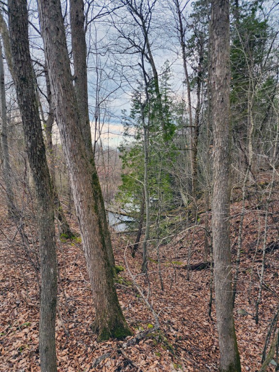 Opposite Runoff Slope to Wetlands Below Opposite Runoff Slope to Wetlands Below