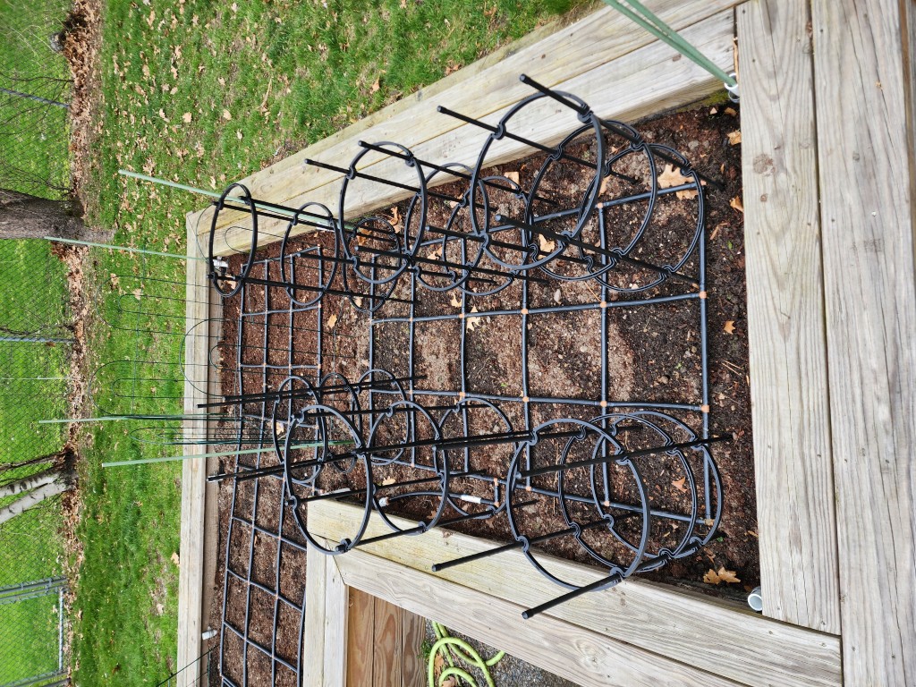 Pepper cages Pepper cages