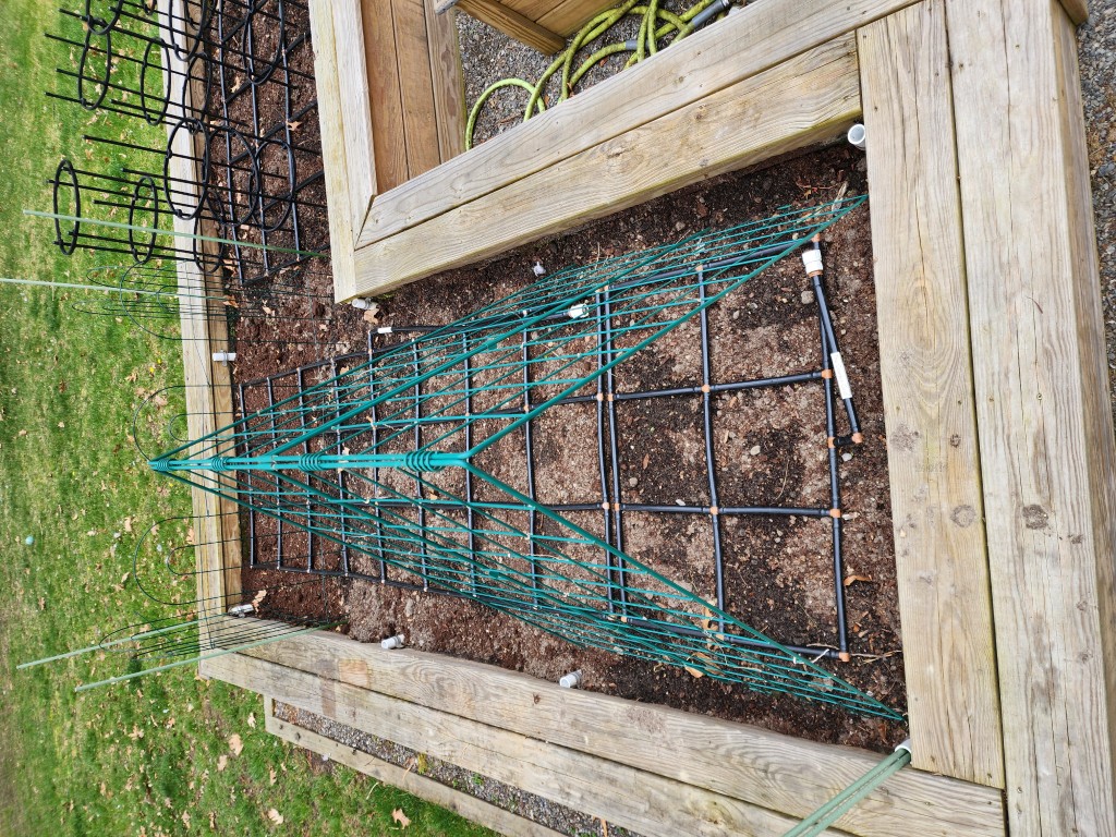 Cucumber trellis Cucumber trellis