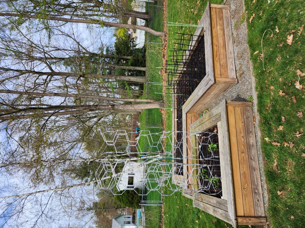Our raised garden Our raised garden