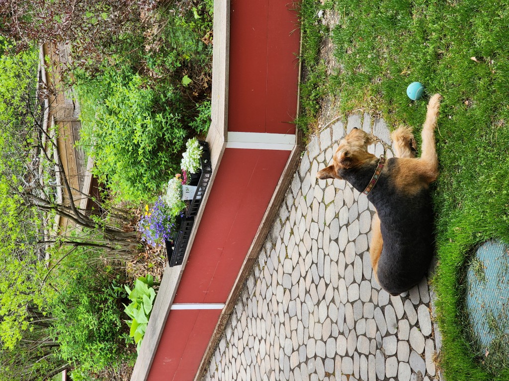 Patio and glimpse of raised garden