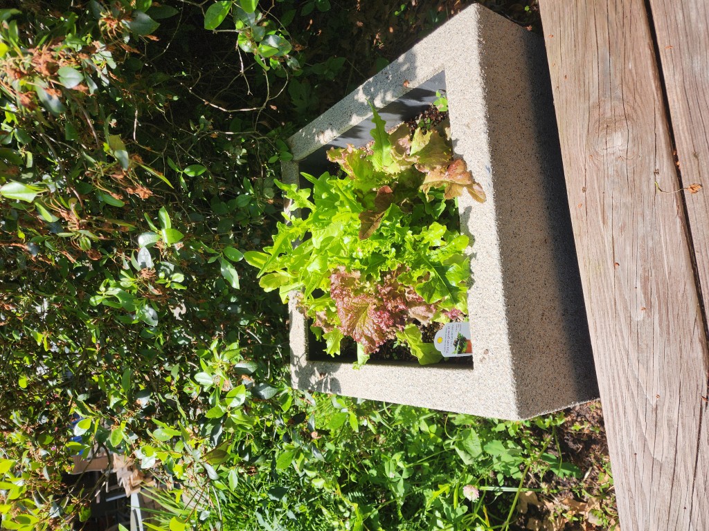 City mix greens