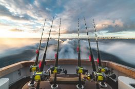 Photo by Stephen Momot on Unsplash